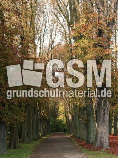 B-Herbststimmung 052.jpg